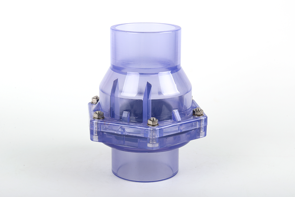 吉阳镇透明翻板式止回阀